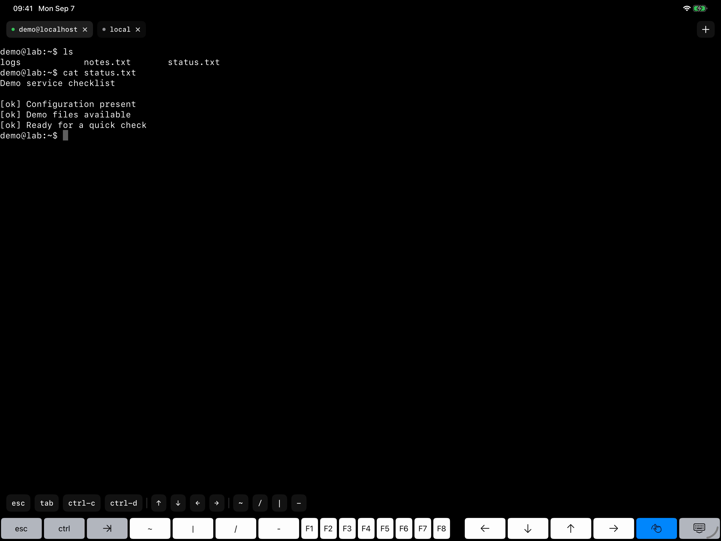 Hey Terminal running ls and cat in a real SSH demo session, with a second local tab